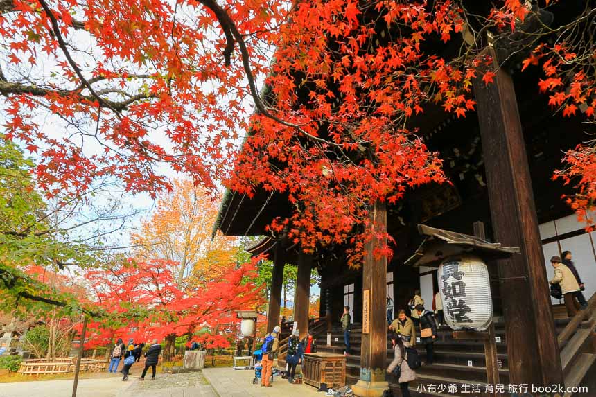 京都免費賞楓景點｜真如堂(真正極樂寺)，紅葉圍繞、美不勝收。