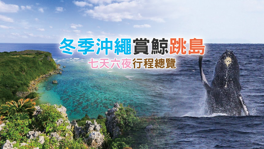 沖繩自由行｜冬季沖繩賞鯨跳島，七天六夜行程總覽