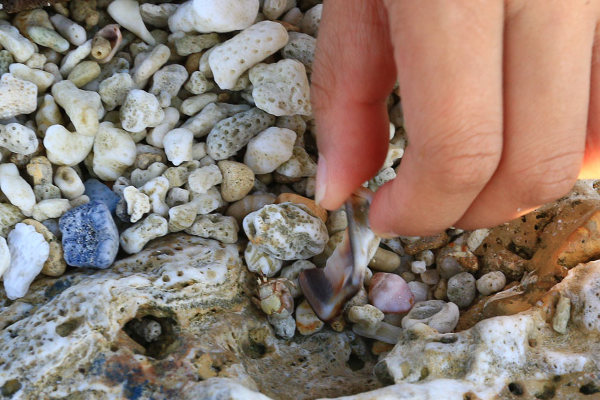 厚石魚澳
