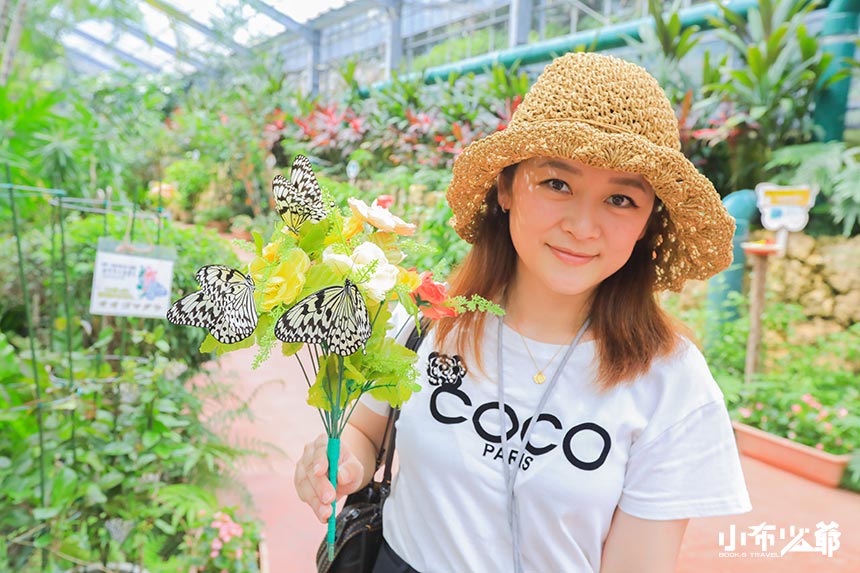 沖繩景點｜琉宮城蝴蝶園(永久停業)，日本本土最大的大胡麻斑蝶擁簇