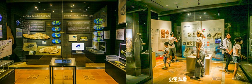 北九州市立自然歷史博物館