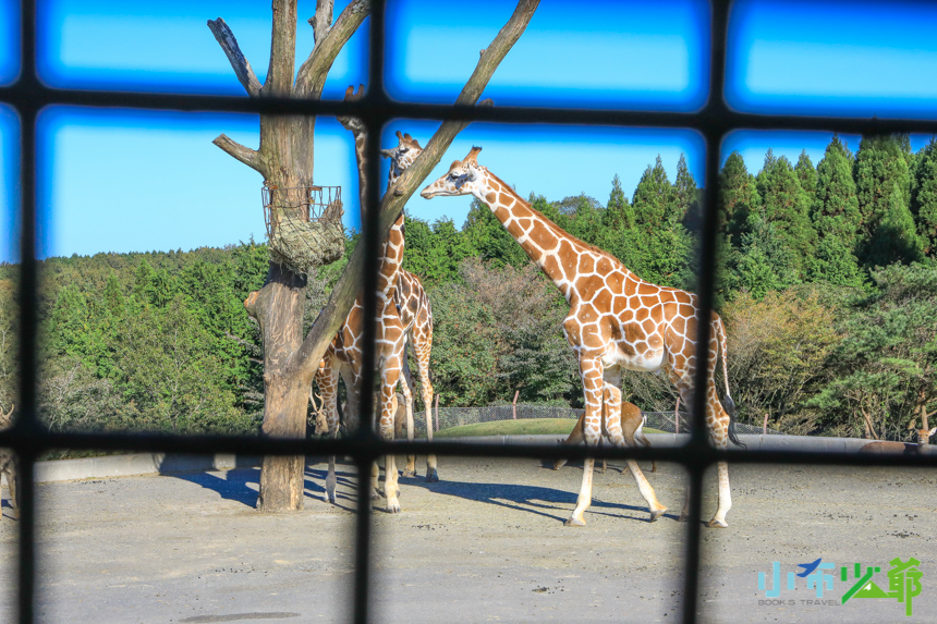 九州自然動物園