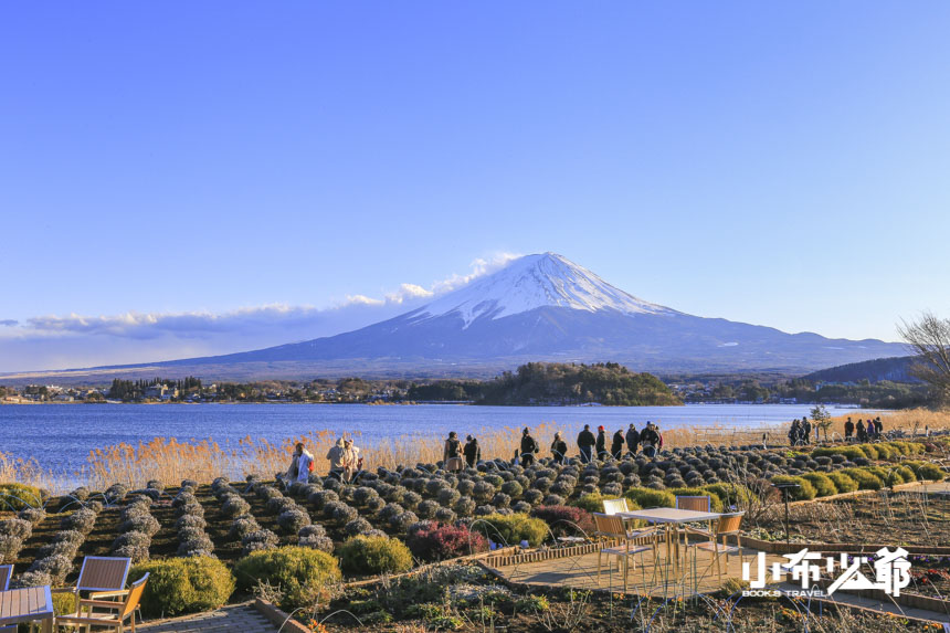 河口湖景點｜河口湖自然生活館，美不勝收的富士山景、必吃富士山冰淇淋