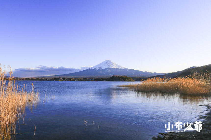 河口湖自然生活館