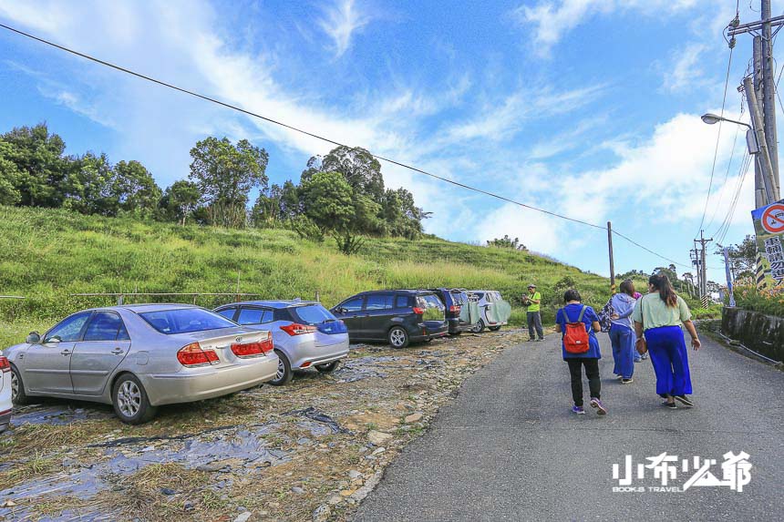 赤柯山金針花海