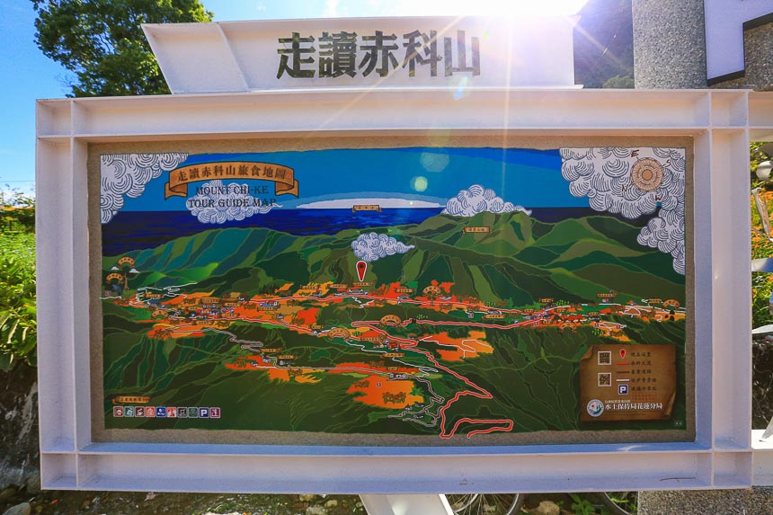 赤柯山金針花海