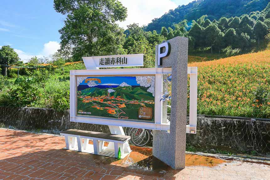 赤柯山金針花海