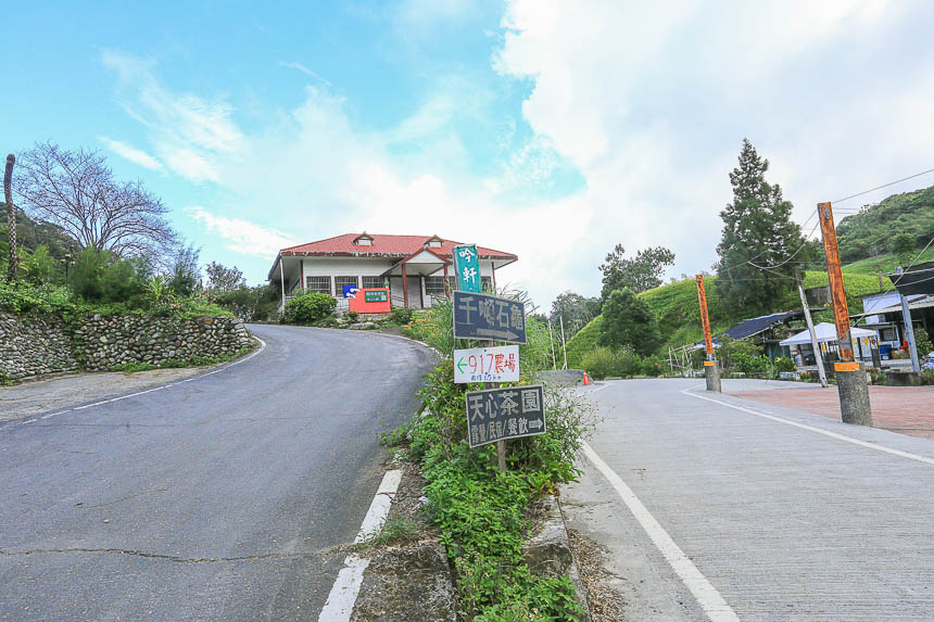 赤柯山金針花海