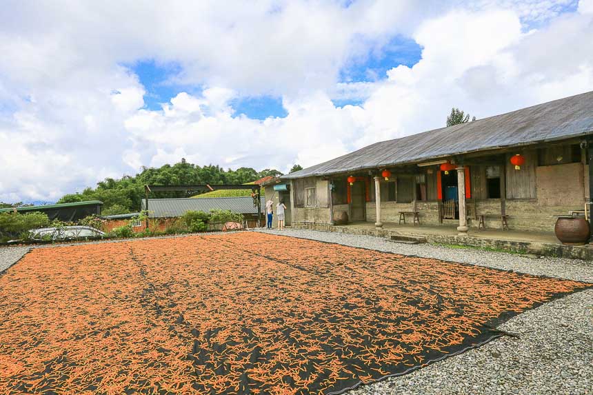 赤柯山金針花海