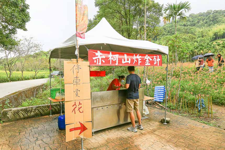 赤柯山金針花海