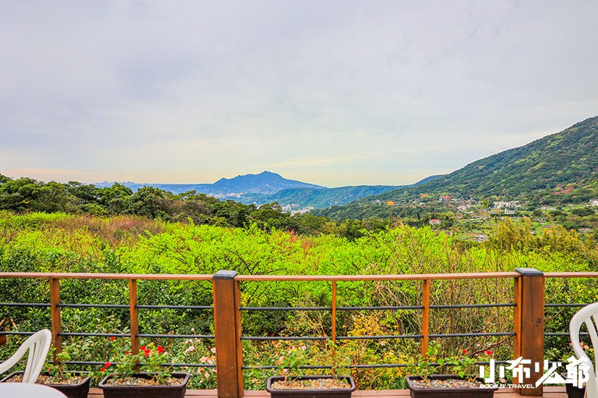 陽明山大埔農場櫻花茶花