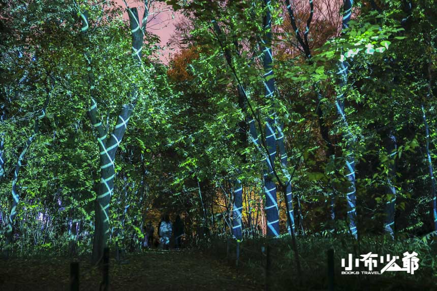 大阪長居植物園teamLab
