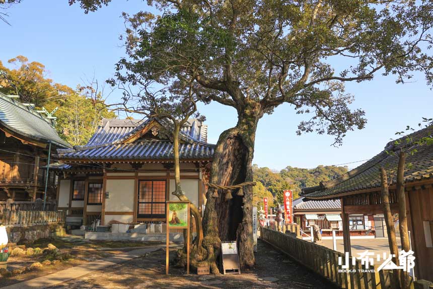 八幡竈門神社
