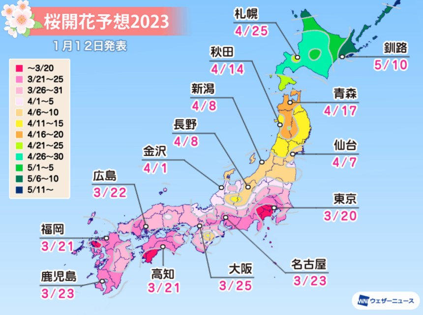 日本櫻花預測前線