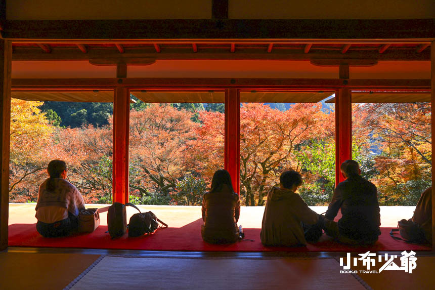 京都賞楓｜高山寺，尋訪最古茶園，國寶石水院的紅楓滿開