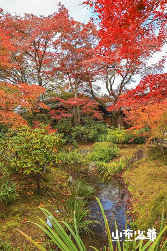 寶嚴院