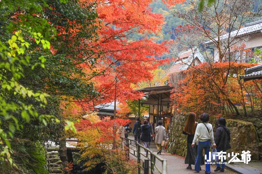 京都大原三千院