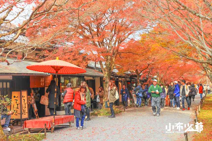 京都大原三千院