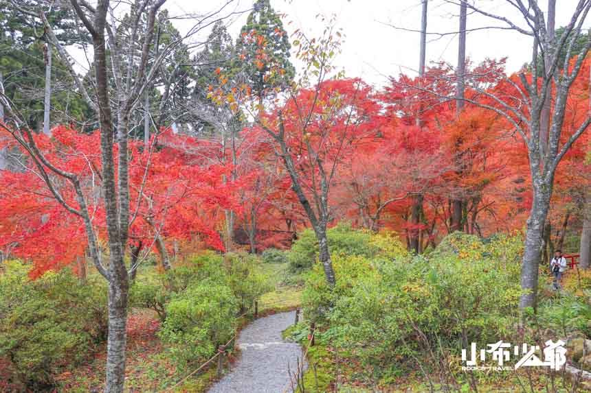 京都大原三千院