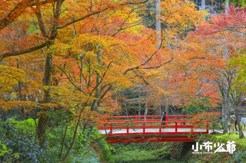 京都大原三千院