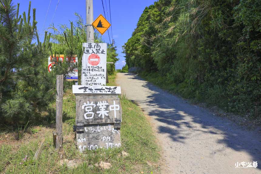 手工花鹽布丁 またいちの塩