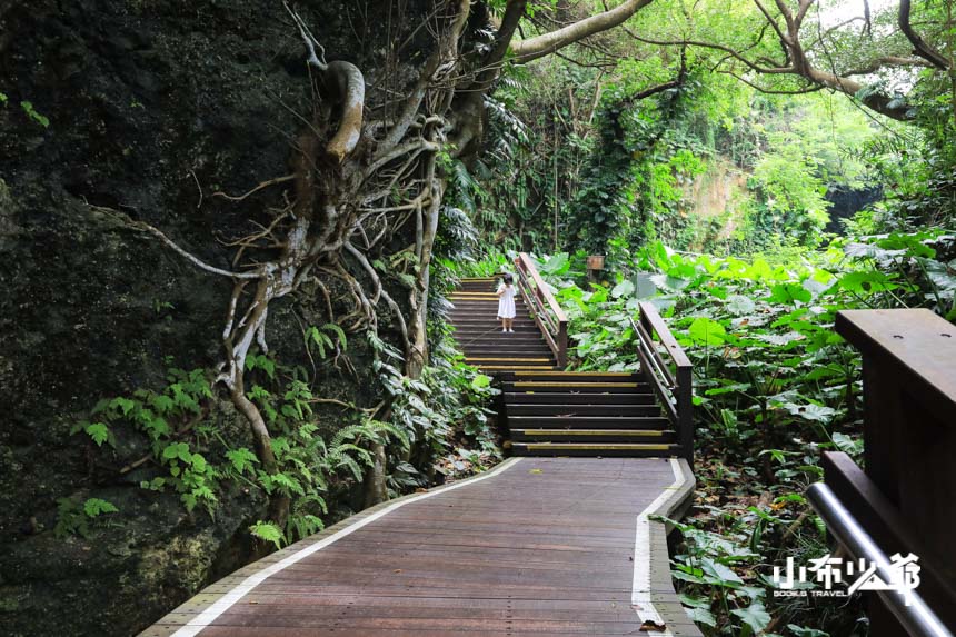 小琉球景點｜山豬溝生態步道，小琉球原始森林探險，巨石礁岩，一線天，天然森林浴步道，防空洞