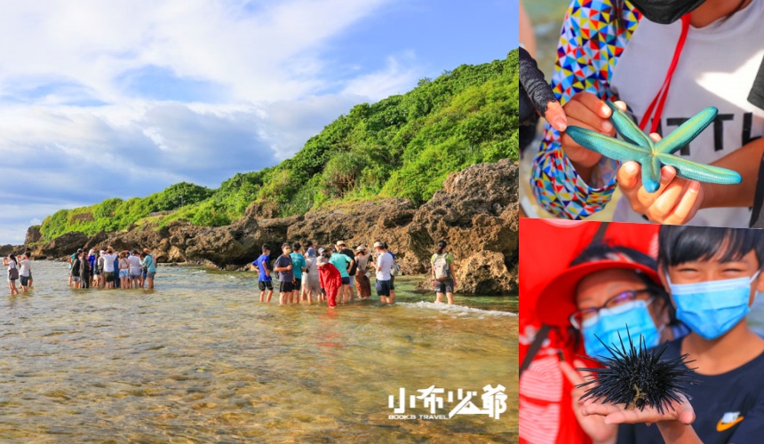 小琉球景點｜杉福潮間帶導覽，尋訪豐富潮間帶生物，驚喜觸摸樂趣