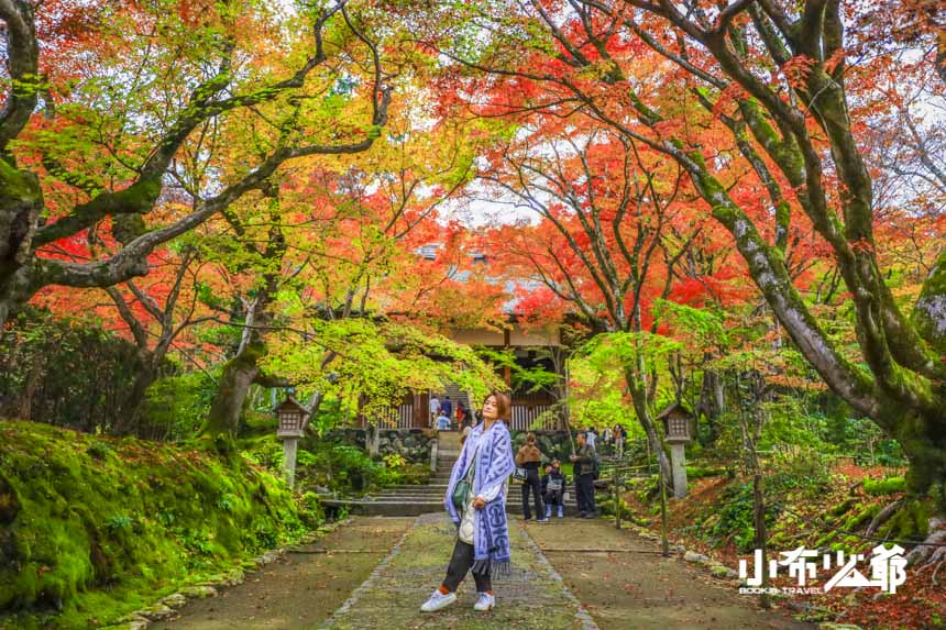 常寂光寺，京都賞楓人氣景點，走在幽靜山林，享受秋日美好
