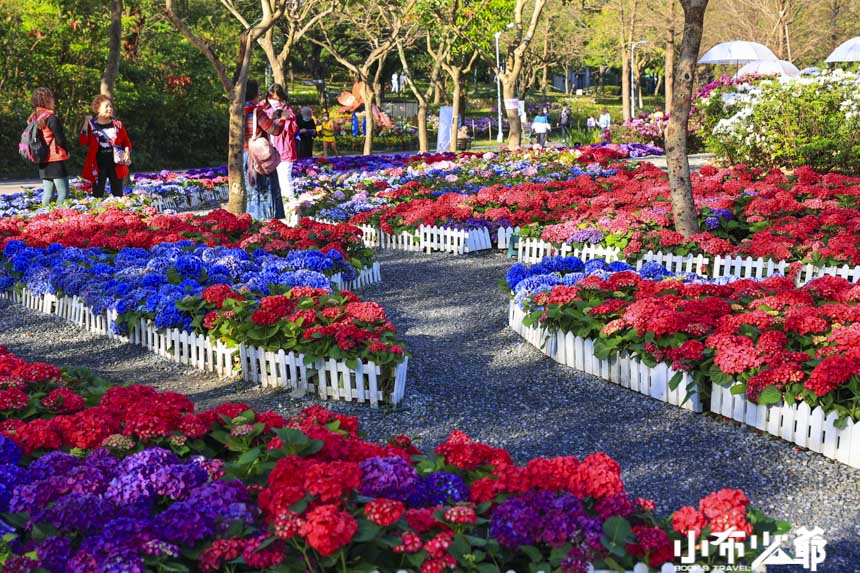 大安森林公園