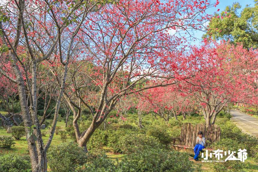 陽明山花卉實驗中心