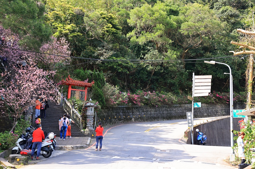 碧山巖櫻花