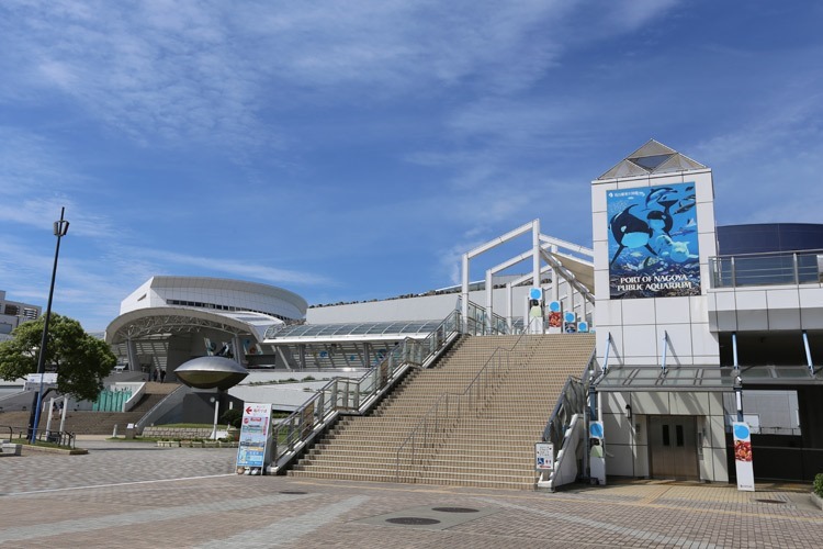 [名古屋親子遊]名古屋港水族館 鄰近港口樂園的海洋生物館，與孩子探索日本海洋生態