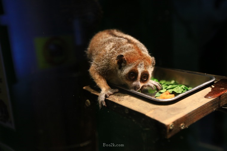 威航關西首航遊-173 威航關西首航遊-173