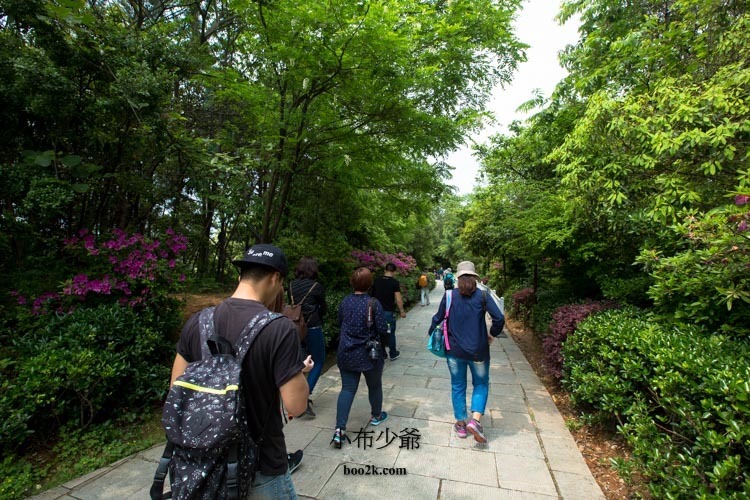 張家界 DAY2 (386 - 245)