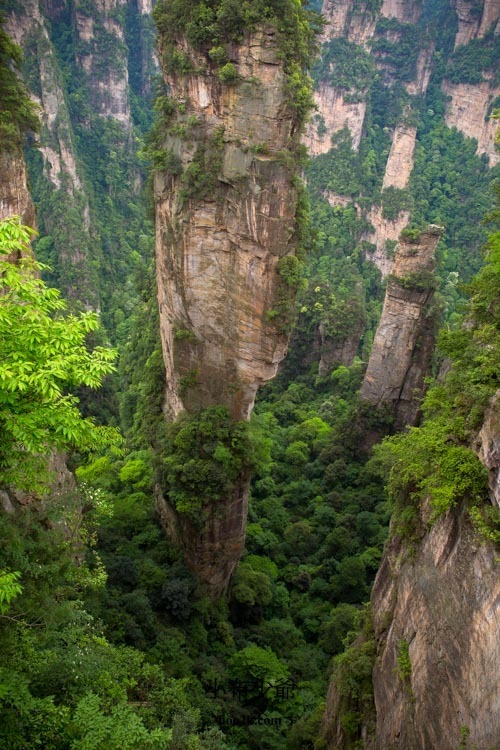 張家界 DAY2 (398 - 245)