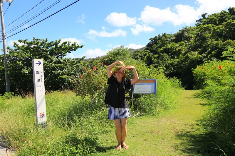 ▌沖繩景點 ▌鹽川 國家天然紀念物，日本唯一的鹹水河川、世界唯二稀有河流