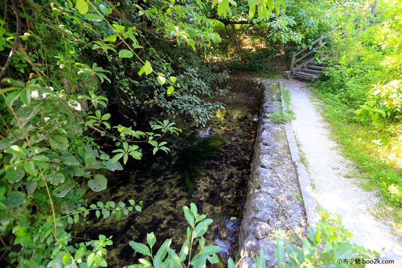 ▌沖繩景點 ▌鹽川 國家天然紀念物，日本唯一的鹹水河川、世界唯二稀有河流