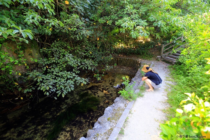 ▌沖繩景點 ▌鹽川 國家天然紀念物，日本唯一的鹹水河川、世界唯二稀有河流
