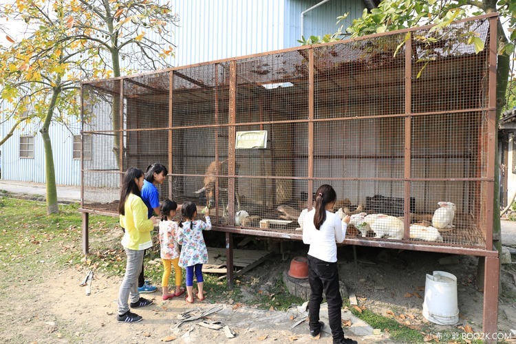 [台中]免費景點~大木塊休閒農場開心奔跑草原、餵羊、兔子、溜滑梯、翹翹板IMG_6303