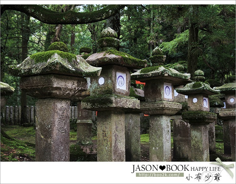 [京都]奈良 春日大社 (世界文化遺產)~有小鹿相伴的日本三大神社之一
