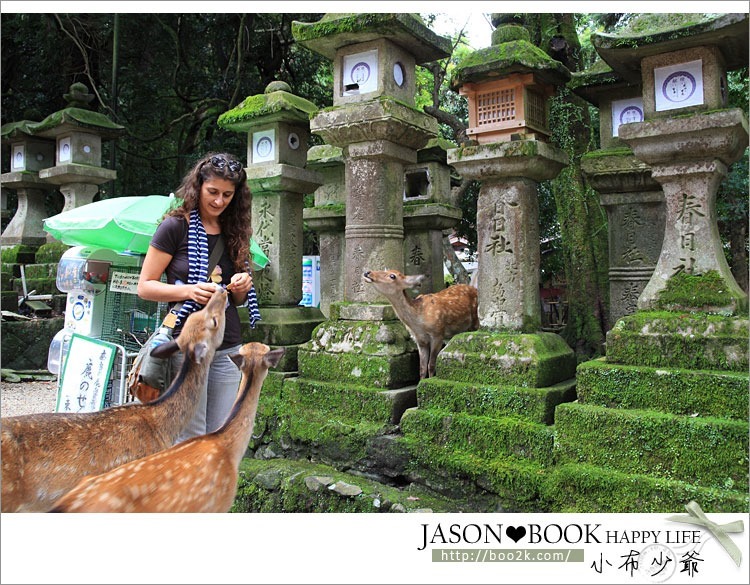 [京都]奈良 春日大社 (世界文化遺產)~有小鹿相伴的日本三大神社之一