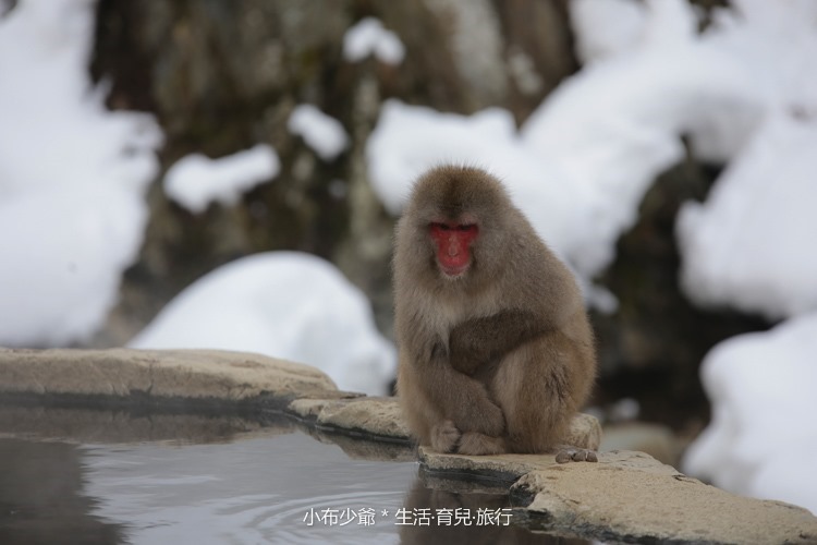 未命名-2513 未命名-2513